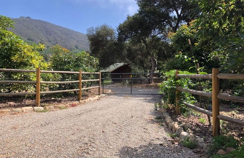 Toro Canyon House | Beautiful mountain view avocado ranch. 6 minutes to Carpinteria & beaches.