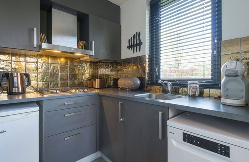 Ewijk House | Beautiful private villa for 6 people with pool, hot tub, WIFI, TV and pets allowed
