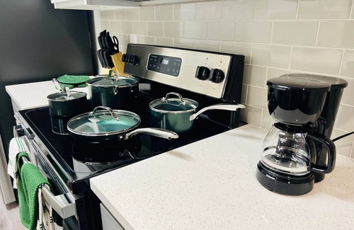Webster Apartment | Beautiful Queen Unit- Houston Suburbs