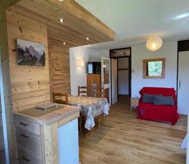 Les Carroz-d'Araches Apartment | Beautiful renovated 40m2 mountain view apartment in Les Carroz, 3 minutes walk from city center