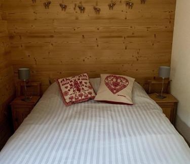 Les Carroz-d'Araches Apartment | Beautiful renovated 40m2 mountain view apartment in Les Carroz, 3 minutes walk from city center