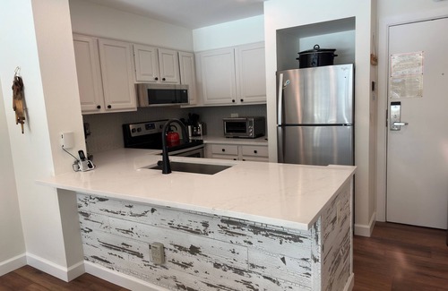 Lakeside Village Condo | Beautiful Renovated 1br Lakeside Condo 1 Bedroom Condo