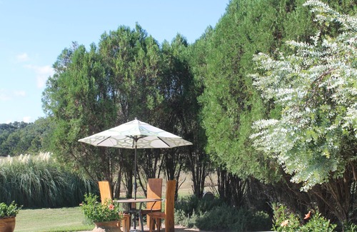 Boerne Cottage | Beautiful Renovated Cottage w/ Shared Pool, Hot Tub & Free Wifi