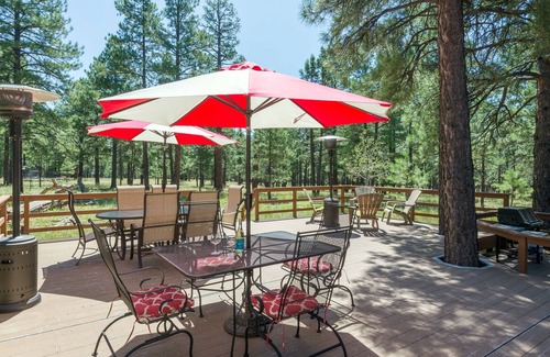 Flagstaff Cabin | Beautiful Secluded Mountain Home on 2.5 Acres ~ Wildlife, Quiet, Close To Town!