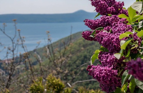 Sucici House | Beautiful villa for 6 guests with A/C, WIFI, TV, terrace, panoramic view and parking