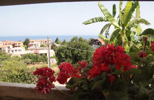 Santa Domenica Bed & Breakfast | Bed And Breakfast casagalez