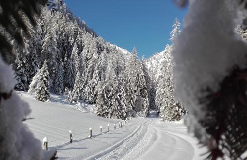 Assling Bed & Breakfast | Bed & Breakfast Dolomiti Bey Haus Pinter