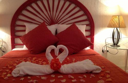 Carcassonne Bed & Breakfast | Bed & Breakfast Le Beauséjour