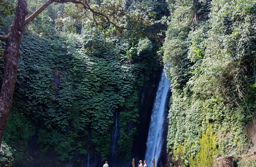 Candikuning RV Rental | Bedugul Camping