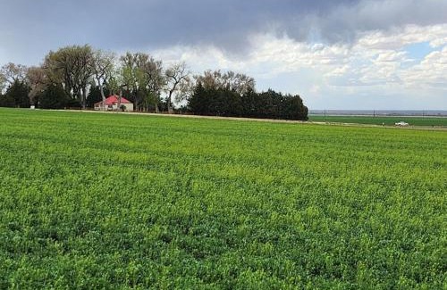 Manzanola Villa | Behm's Farm