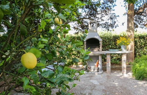 Vada House | Bella Valle 4 Campagna, Relax in Giardino, Mare a 2 km, Toscana Tutta Intorno!