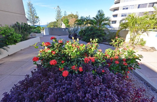 Mooloolaba Apartment | Bellardoo Holiday Apartments