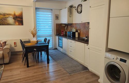 Sinaia Apartment | Belleview Family Apartment