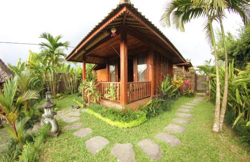 Tegallalang Hotel | Belvilla Moksha Ceking Rice TerraceNearUbud Jungle Swing
