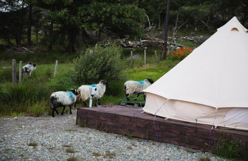 Connemara Hostel | Ben Lettery Hostel
