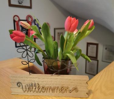 Kaunertal Apartment | Bergfeuerhof