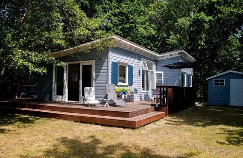 Nieuw-Haamstede Ski Chalet | Berkenpad 5 comfortable holiday cottage in nature