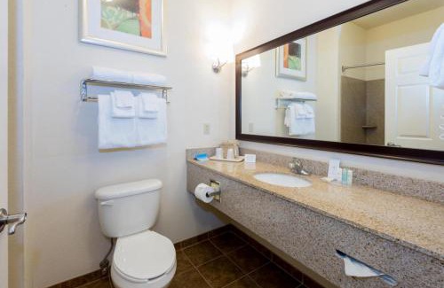 Dothan Hotel | Best Western Dothan Inn & Suites