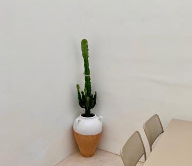 Matino House | Bianco Antico Salento