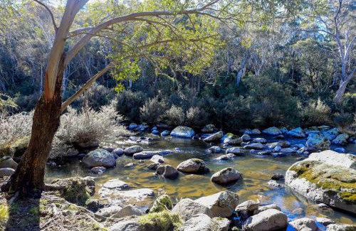 Moonbah Other | Big Yard Escapes - Two Off-Grid Tiny Houses on the Mowamba River