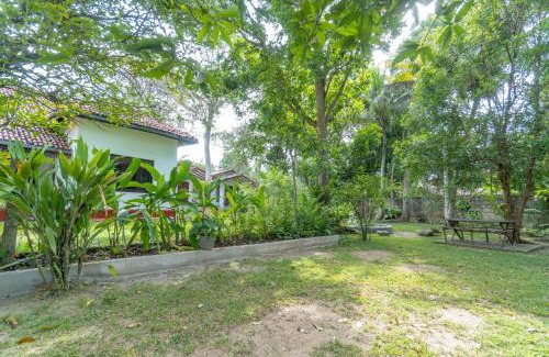 Ahangama Hotel | Bird Of Paradise - Ahangama Villa