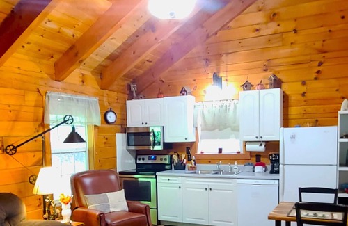 Sautee Nacoochee Cabin | Bird Song Cabin-Great Privacy for that romantic getaway