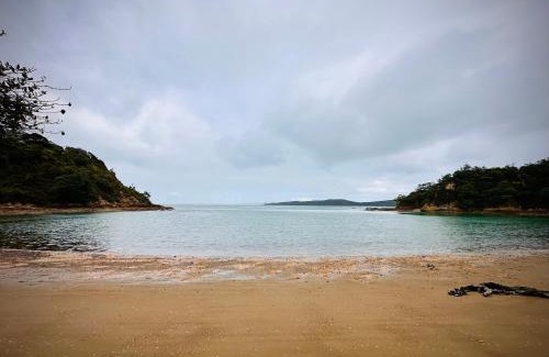 Surfdale House | Black Cottage - Stay Waiheke