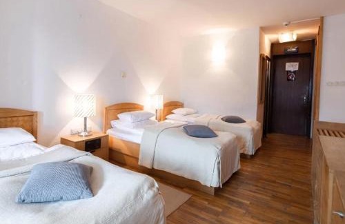 Guca Apartment | BLAGOJEVIĆ