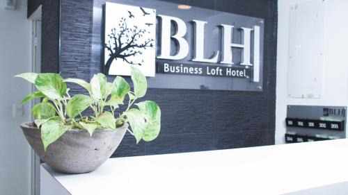Bucaramanga Hotel | BLH Business Loft Hotel