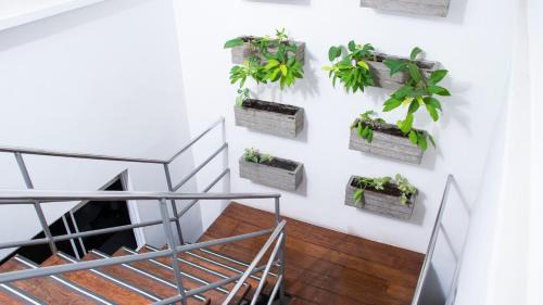 Bucaramanga Hotel | BLH Business Loft Hotel