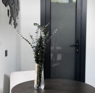 Slavske Apartment | Bliss Cottage