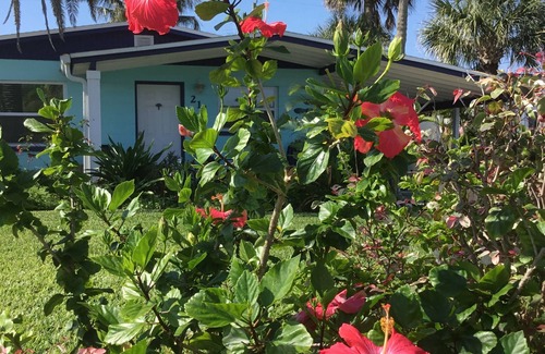 Port Canaveral House | Blue Palm Beachside Cottage Heated Pool - Only Steps from Beach