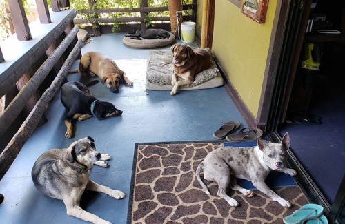 El Pescadero House | Blue Reef Casita on Rancho Arrecife (2.8 miles sandy beach Baja California Sur)