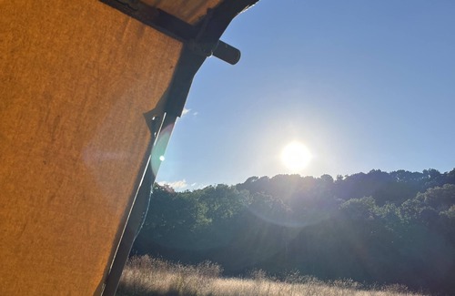 Cullompton RV Rental | Bluebell Brook CampnSecluded camping in 13 acres of magical meadow and woodland.