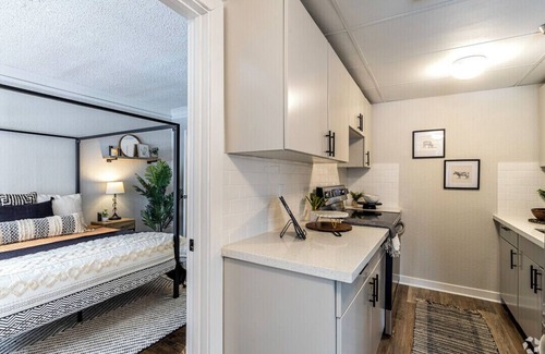 Central Hyde Park Apartment | Bohemian oasis/1 bedroom/Entire unit