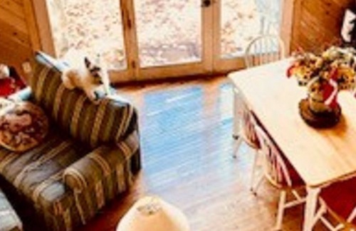 Indian River House | Book now for Fall! Cozy home on Mullett Lake, fireplace, deck, fire pit