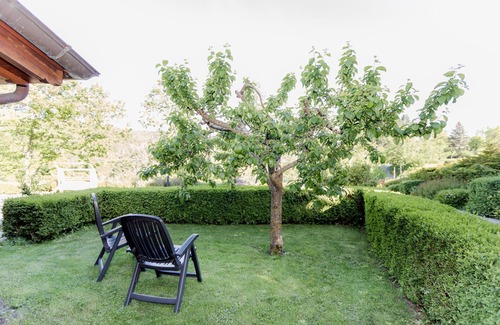 Caiano Other | Borgo Caiano in Casentino Tuscany-apartments-typical dishes-large park-pool