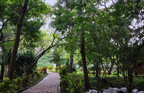 Coatepeque Hotel | Bosko cerro verde