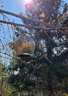 Mesocco Bed & Breakfast | Boutique B&B La Quiete del Bosco - A Plant Based Stay - Special 20 percent Off till 31 October due to road works-Parking 700m