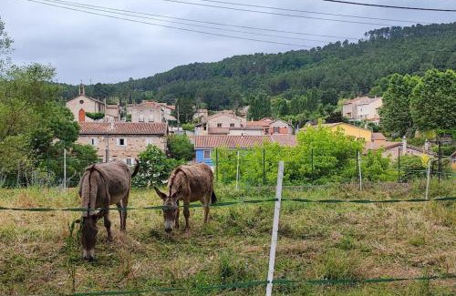 La Grand'Combe Apartment | Brah