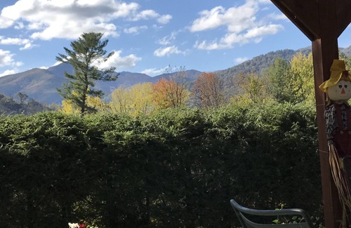 Waynesville Cottage | Brand New Blue Ridge Cottage Walking Distance to Downtown Waynesville