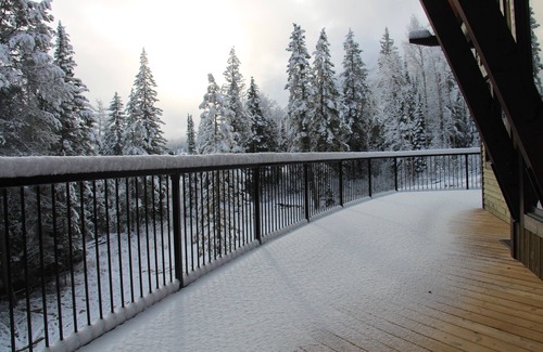 Golden House | Brand new modern ski home, top of the line finishing, the ultimate cooks kitchen