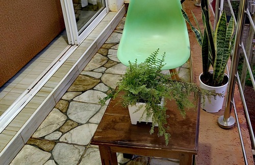 Kiambu Apartment | Breezeskyline with greenery view