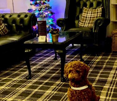 Blairgowrie Hotel | Bridge of Cally Hotel