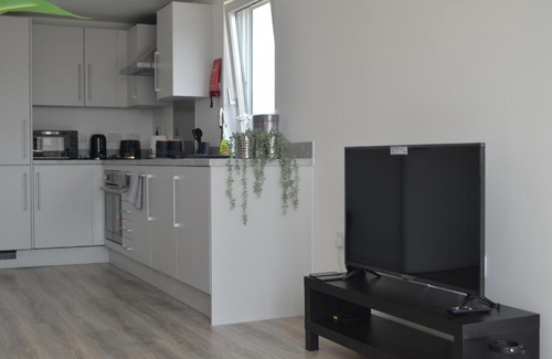 Ashford Apartment | Bridgefield Apartment