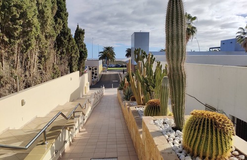 Solana del Matorral Apartment | Bright beachfront apartment, Playa Jandia, ideal for 2, large terrace