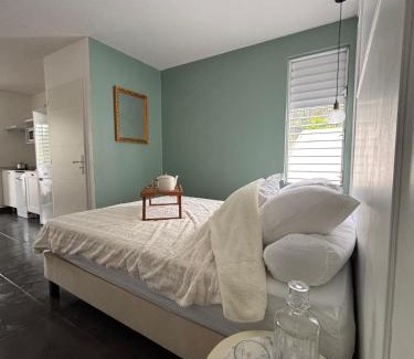 Schoelcher Apartment | Bright studio in Schoelcher, Wi-Fi, Air conditioning