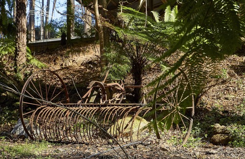 Mount Dandenong Cabin | Brook Cottage: Private rainforest with river