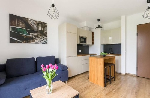 Mirow Apartment | BROWARY DESIGNER APARTMENTS by Country 2 Country