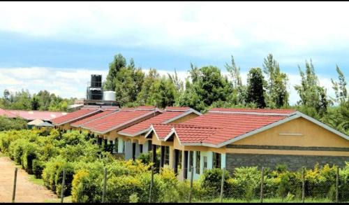 Nanyuki House | Buens Lugar Hotel